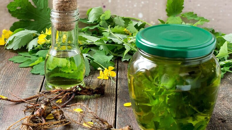 Celandine - a folk remedy for fungal infections of the legs